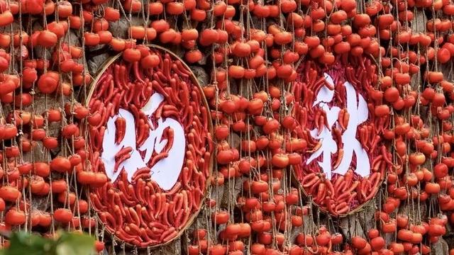 初冬高饱和度美景，还得看洛阳！