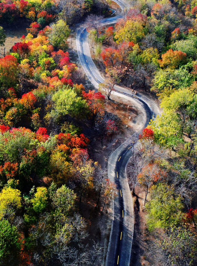 组图|黄海1号，331公里的秋日画廊