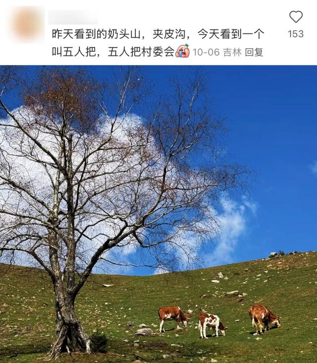 东北“屁股沟”，成了年轻人的瑞士平替