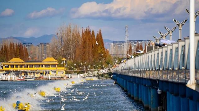 昭儿～来看滇超联赛 要在昆明耍几天呢噶