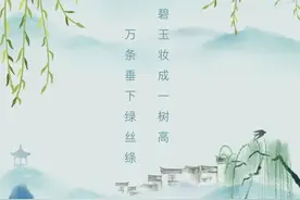 原来柳树发芽，是春天发出的 “甜蜜邀约”图片