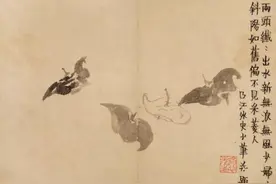 风物二十四节气｜霜降：清霜夜来白，古桕叶翻红图片