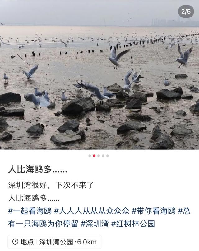 “春运都没这么多人”！深圳知名景区刷屏，网友纷纷“劝退”！