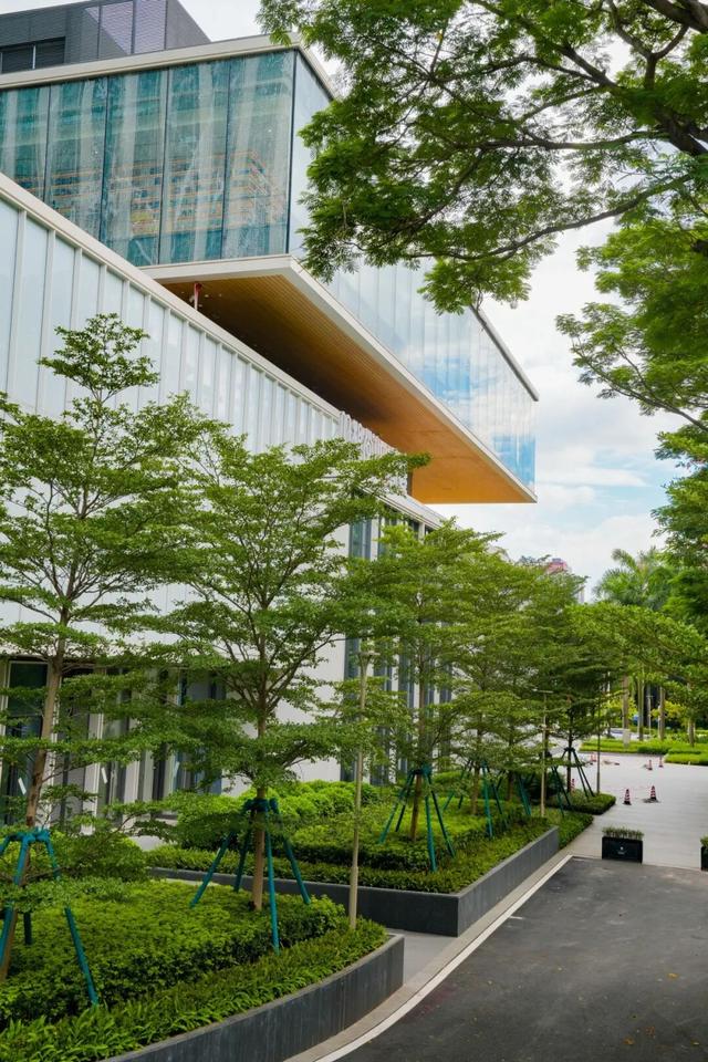 东莞新晋文艺街区，随手一拍就是大片→