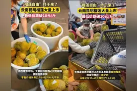 价格“腰斩”！突然大跳水！还能继续跌？图片