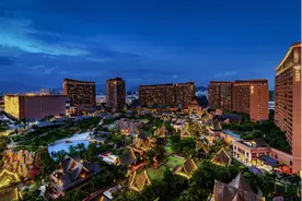 文化+科技驱动生活方式创新？红树林引领文旅新浪潮图片