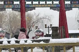 山东多地暴雪，积雪最深13厘米！部分列车停运、一地中小学停课……图片