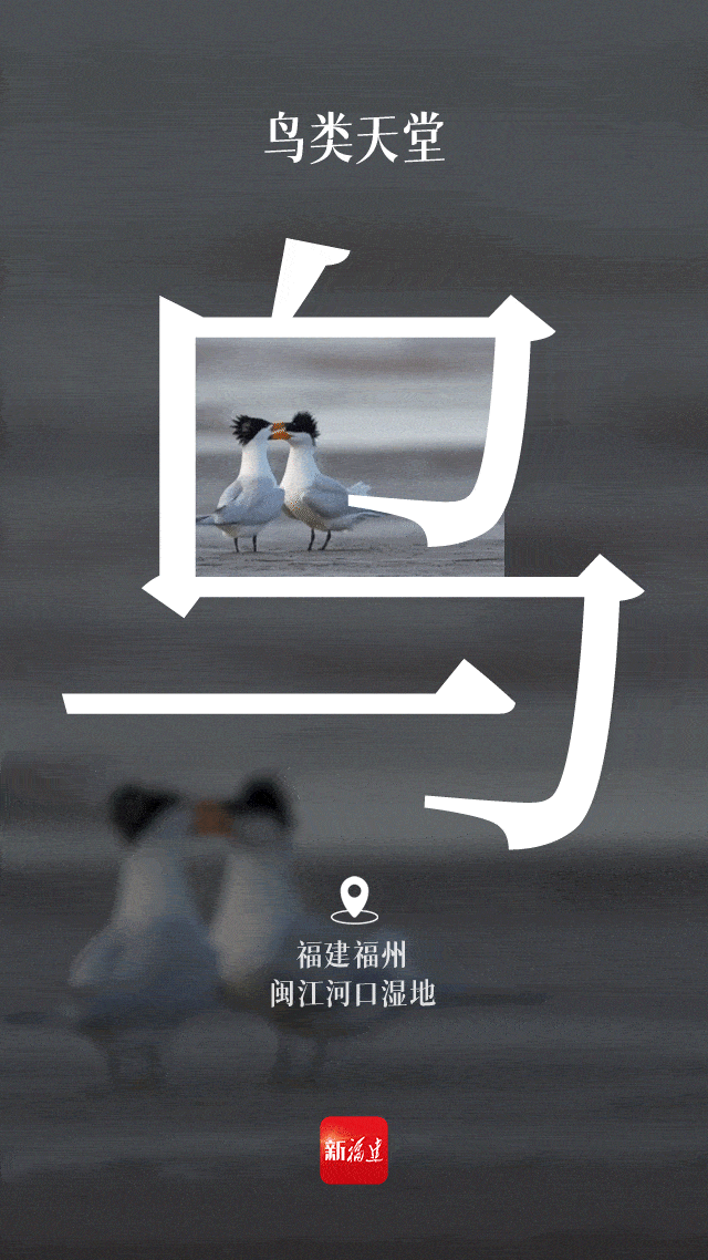 福建再添世界级名片！又多一个打卡的理由