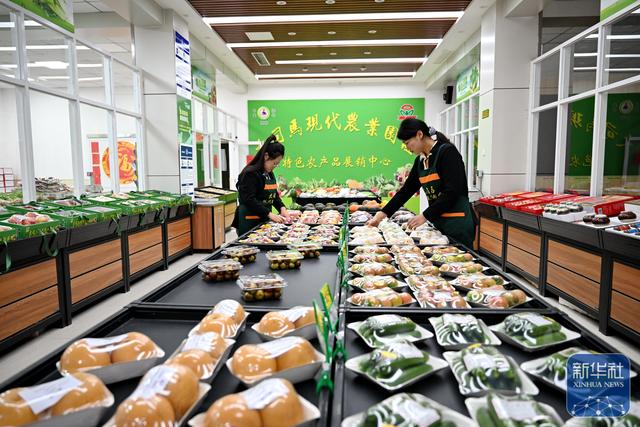 河北沧州：大运河堤顶路铺就美好生活新图景