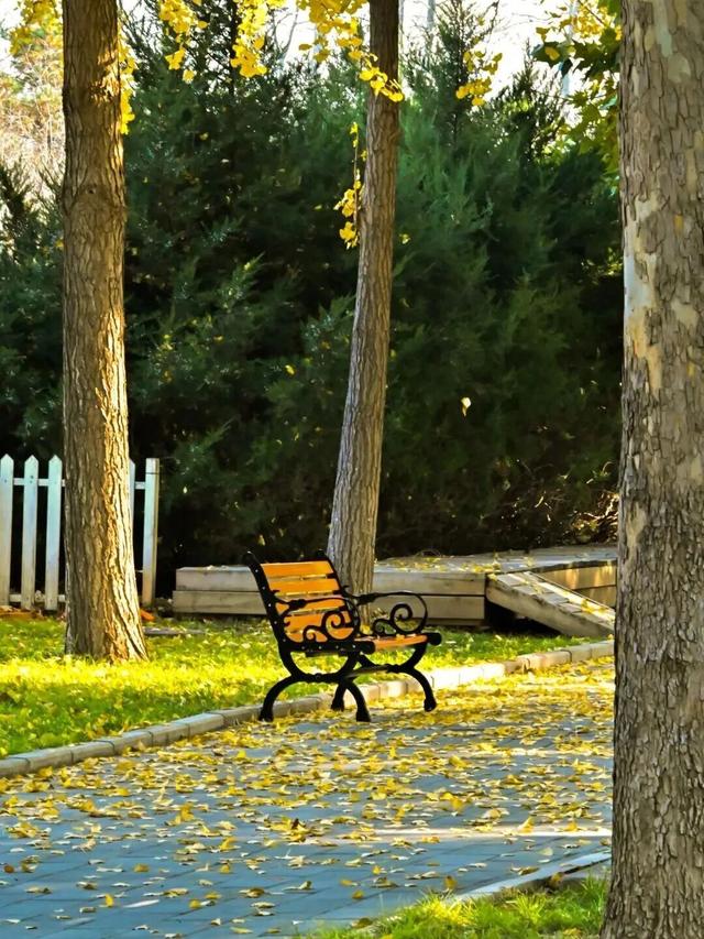 一键Get√氛围感！来这里，将海淀的秋收在镜头中——