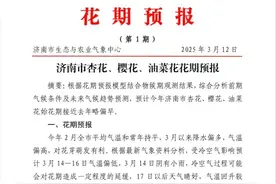 济南市杏花、樱花、油菜花赏花地图出炉！图片