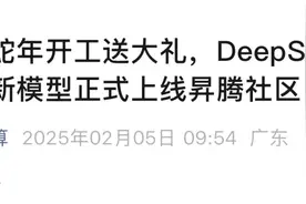 DeepSeek，再传重磅！图片