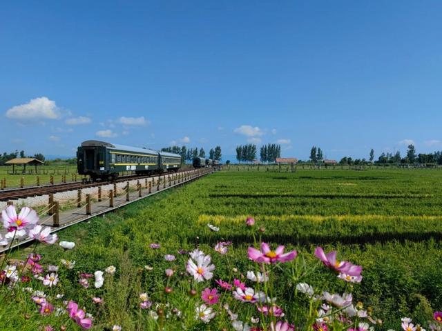 滇池南岸，你一定要去看看的地方！比如沙滩、湿地、稻田还有咖啡……