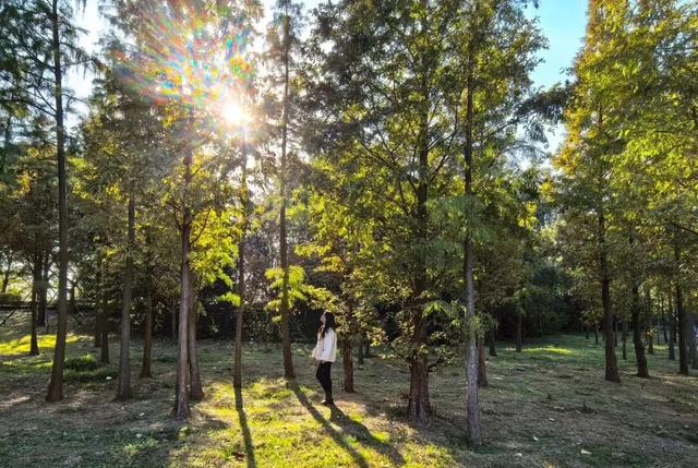 @高邮人 邀请您找寻心中的……