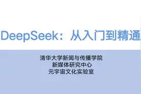 DeepSeek指南爆火后，对话清华大学沈阳：不管AI再强，人要尽可能驾驭它图片