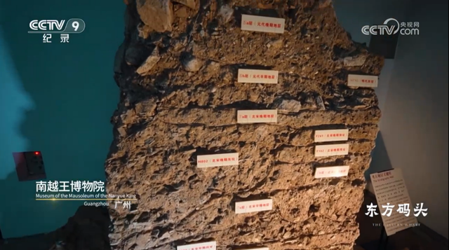 央视热播！就在身边，不少越秀街坊天天见