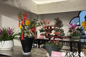 来黄册库沉浸式穿越大明，南京玄武湖邀你游园迎新春图片
