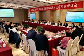 专家建议研究制定非法采矿认定规范或指导意见图片
