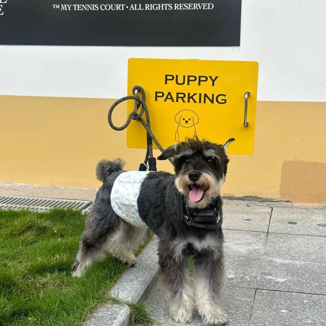 种草了！东莞这些「超美运动场」，现在就想去！