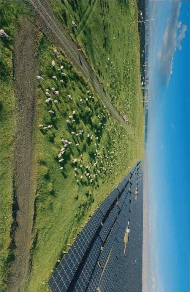 青海：中国地理的“超级链接”| 文化中国行