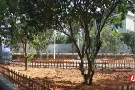 零陵：以“庭院小美”点靓“乡村大美”图片
