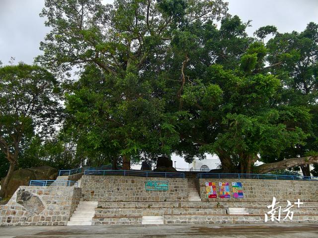 “最美侨乡”澳头大变样，快来打卡！