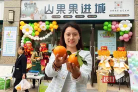 一头连乡村一头连小区，湖北夷陵：山货搭“快车”进城新鲜到家图片