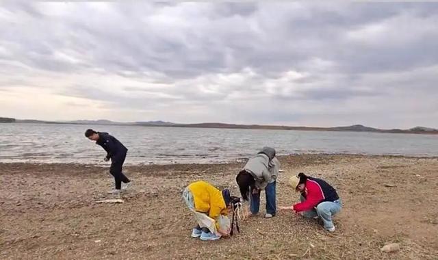 来辽宁“寻宝”，捡石头路线都给你摸清楚儿的
