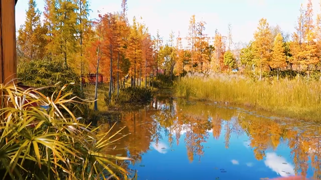 今天，楚雄要给你点颜色看看