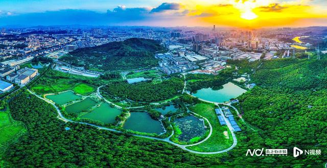 经济大市如何挑大梁？四组关键词，看东莞镇街高质量发展画像