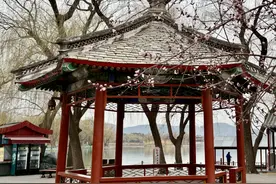 颐和园桃花初绽，享受着春的暖意图片