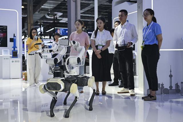 新华走笔丨程思琪：世界人工智能大会被机器人“占领”了