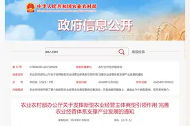 新型农业经营主体典型案例已发布，山东这些入围图片
