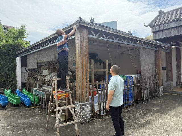 图集|恩平市文化广电旅游体育局全面开展防风、防蚊工作