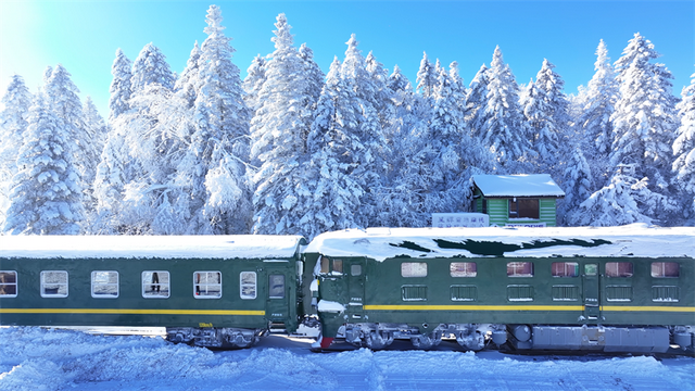 两地共启冰雪盛宴！延边新雪季明日“绽放”雪岭与老里克