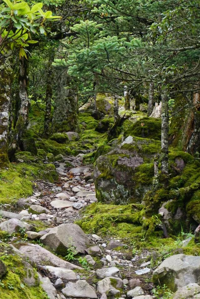 来螺髻山，开启一场身心救赎之旅