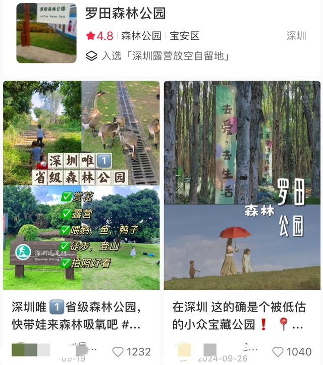 我的宝藏城区：宝安十一假期打卡不完全攻略