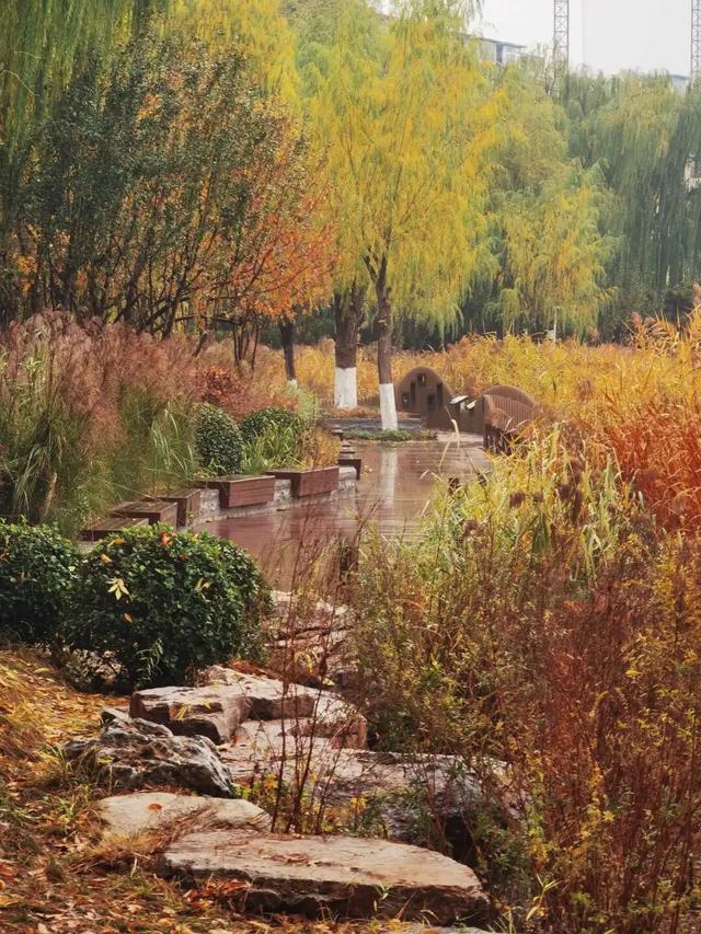 不必扎堆地坛公园！东城区赏秋攻略，一图收藏