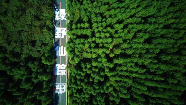 竹子为县树、三角梅为县花……四川宜宾兴文城市名片上新