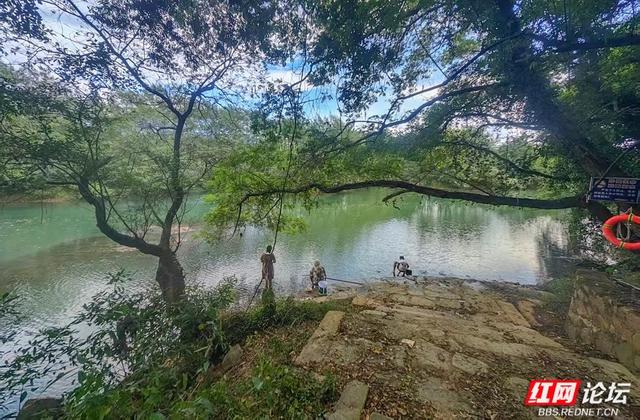 岁暖时刻丨秋访茶源渡：一段隐藏在山水间的峥嵘岁月
