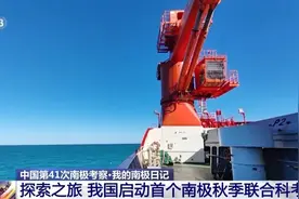 早安南京｜2025南京世界田联室内锦标赛落幕！图片