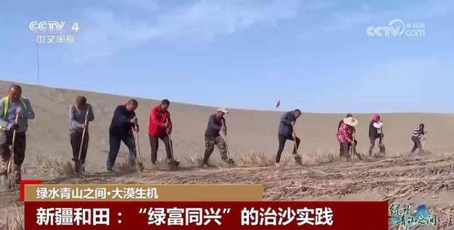 中国治沙开挂：光伏锁沙 苜蓿生金