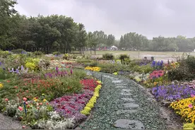 2025年首都市民花园周在海淀公园举办，包括30余个展区图片