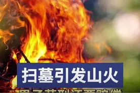 扫墓放鞭炮引发山火，男子获刑还要支付生态修复费用图片
