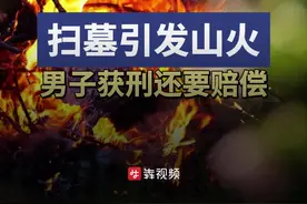 扫墓放鞭炮引发山火，男子获刑还要支付生态修复费用图片