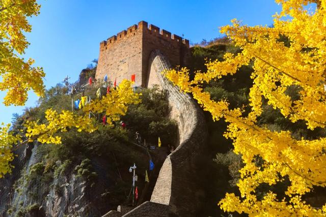 “大好河山”下话茶路古今