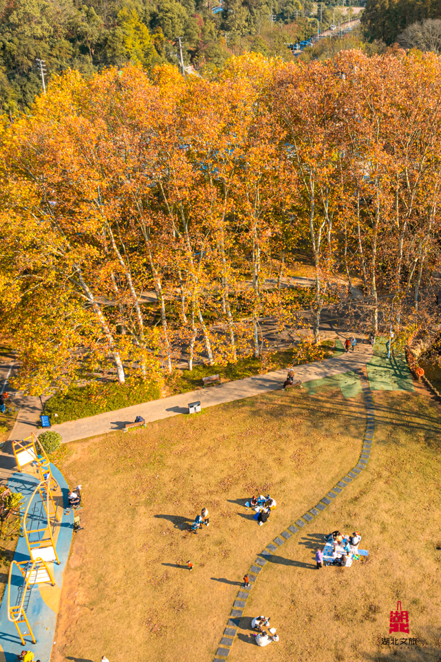 抓住晴天尾巴，徒步青龙山！