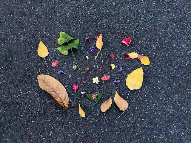 最美松湖 | 烦恼No，捡秋Go！来这里一键切换治愈模式