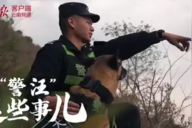 身怀绝技智勇双全，带你探秘缉毒犬养成图片