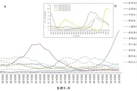 考试季遇到流感季！99%以上是甲流，紧急提醒：儿童易感，不要带病上学图片